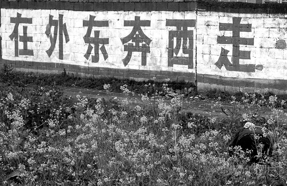 冷狐汉化300款黄油能玩的
