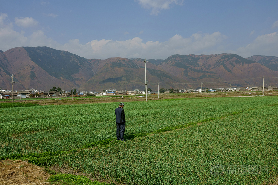 甩奶舞