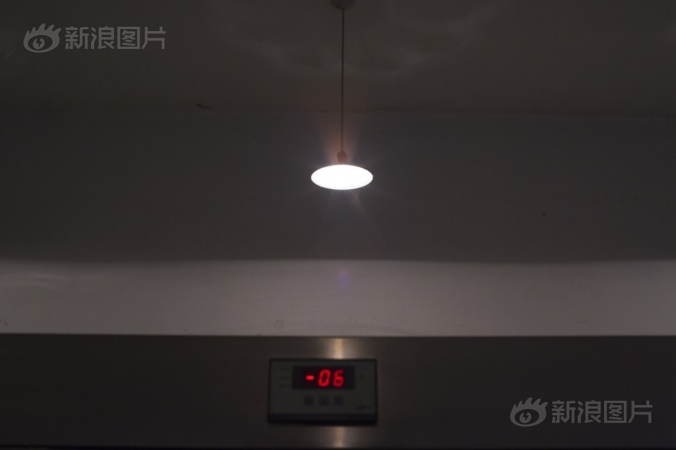 鈴村愛理