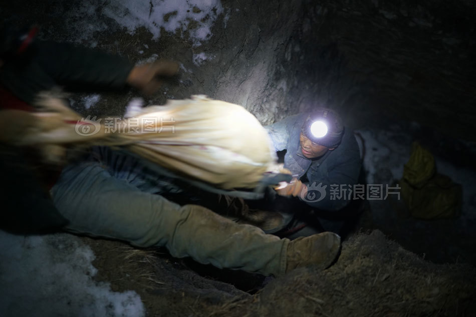 女明星裸体(无遮挡)