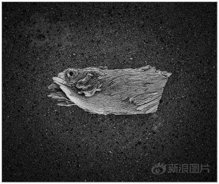 亚洲不卡