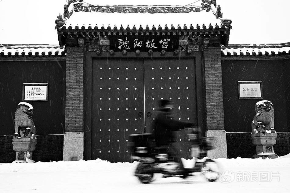 免费A级黄色网站