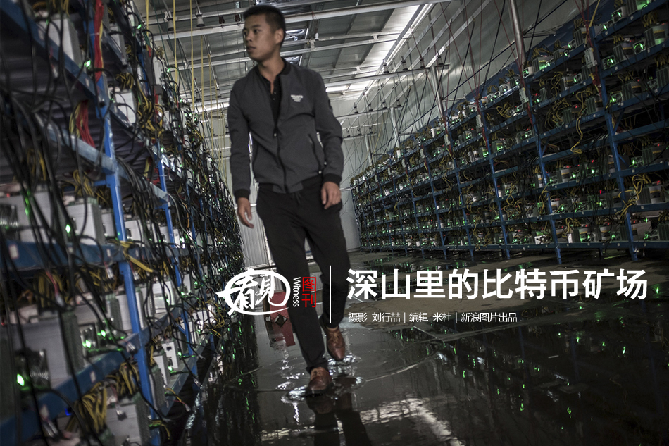 进入二级黄色网站