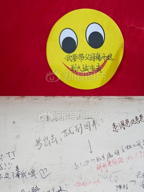 美女的逼逼