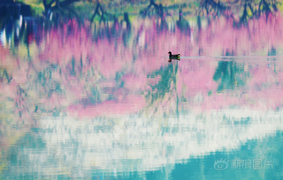 一二三级片乌克兰