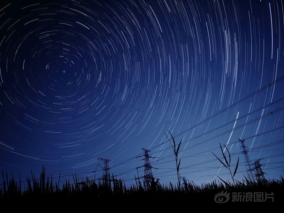 黄色视频软件网站