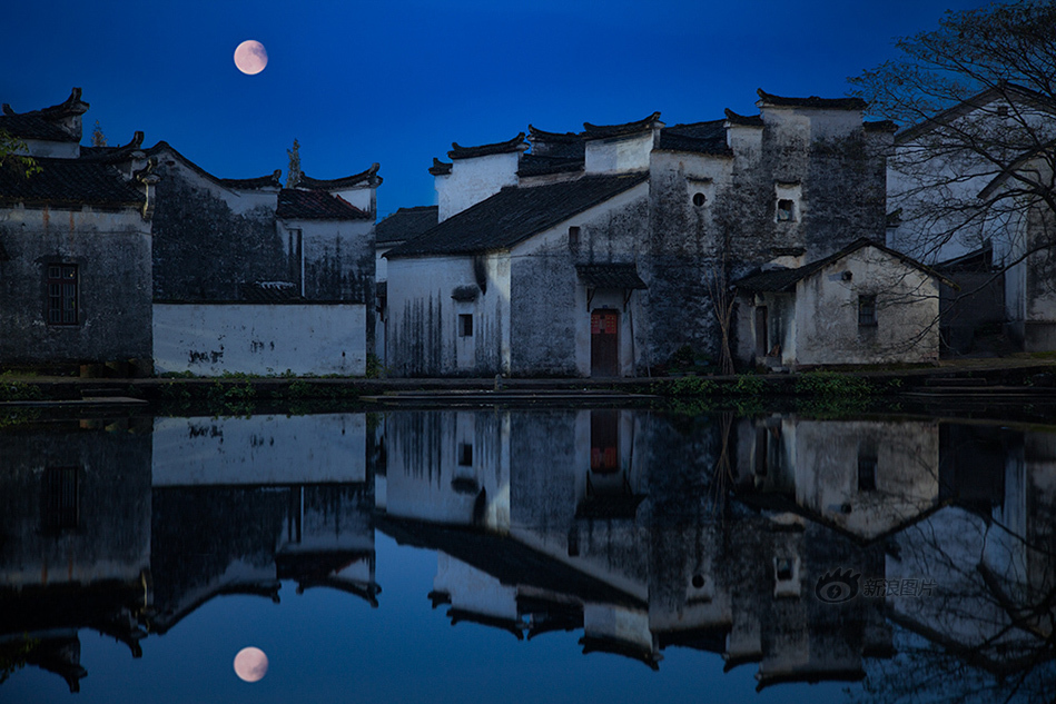 天天操夜夜骑