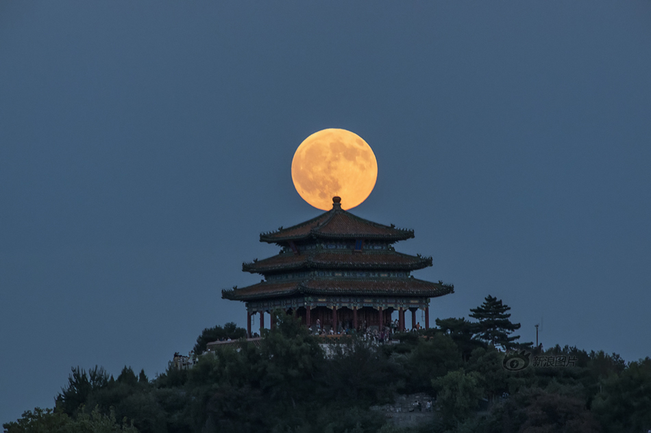 欧美一级欧美三级