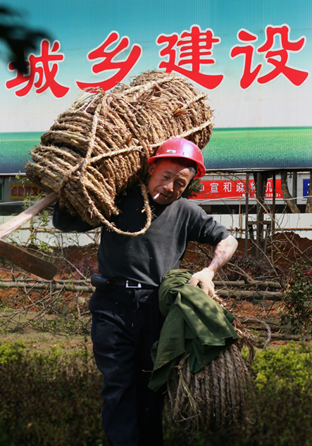 高城彩