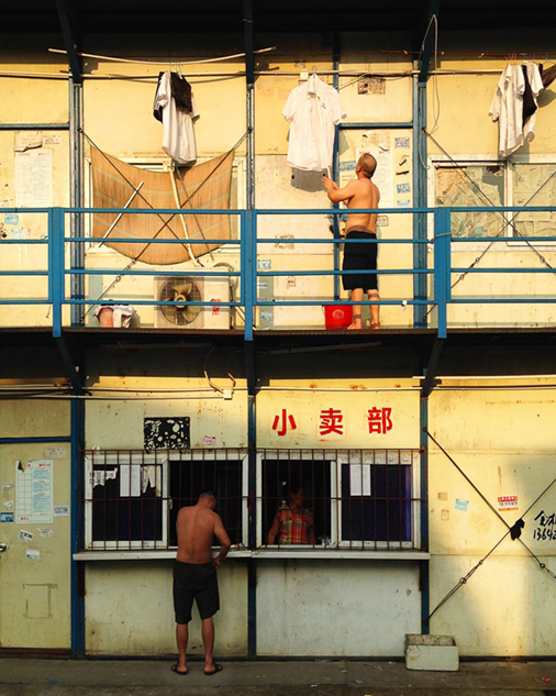美国一级A级黄免