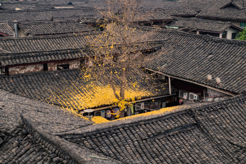 王雨纯牺牲最大的一场戏