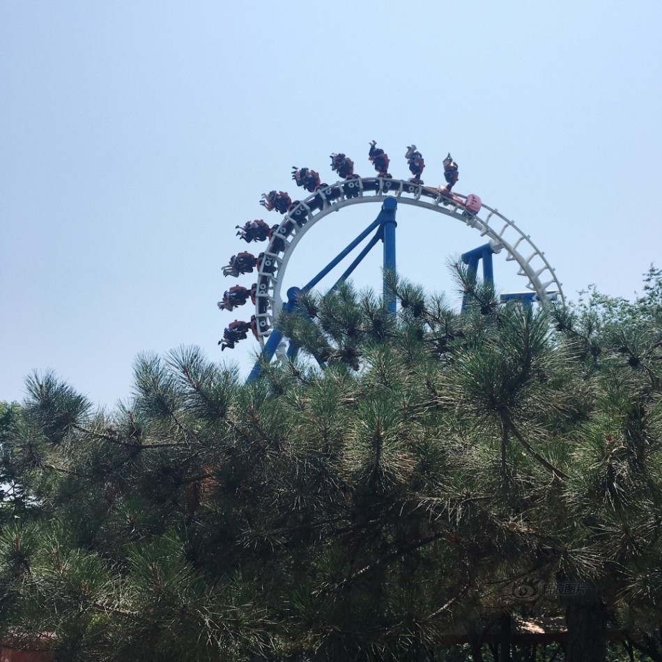 人成网视频