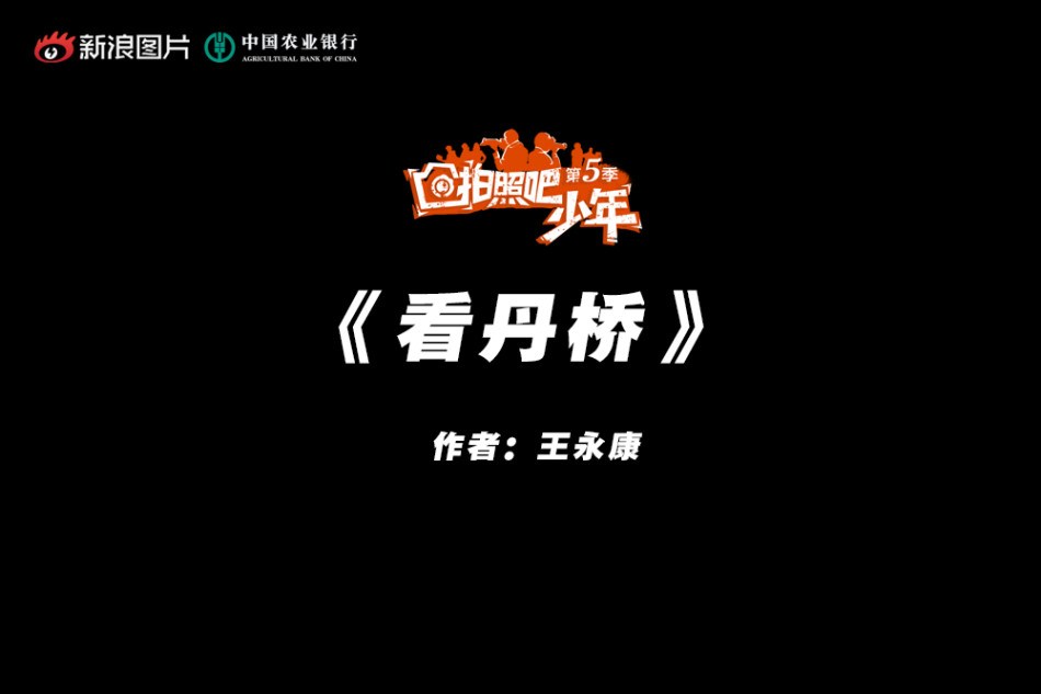 伦理片不遮挡