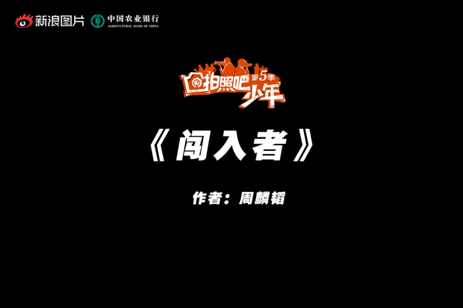 欧美淫秽视频网址免费