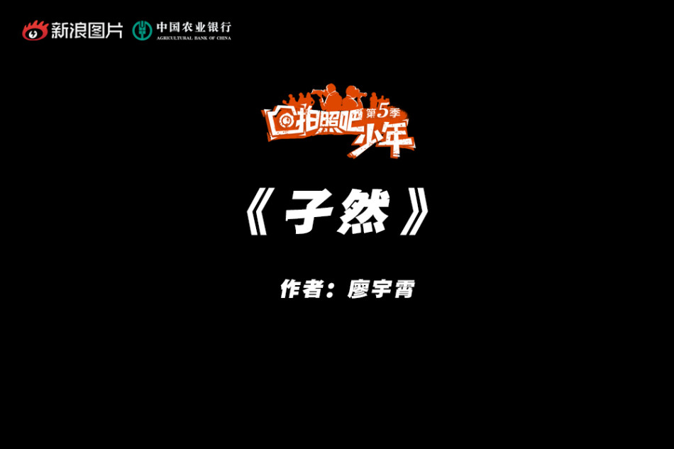 欧美肥婆之性另类