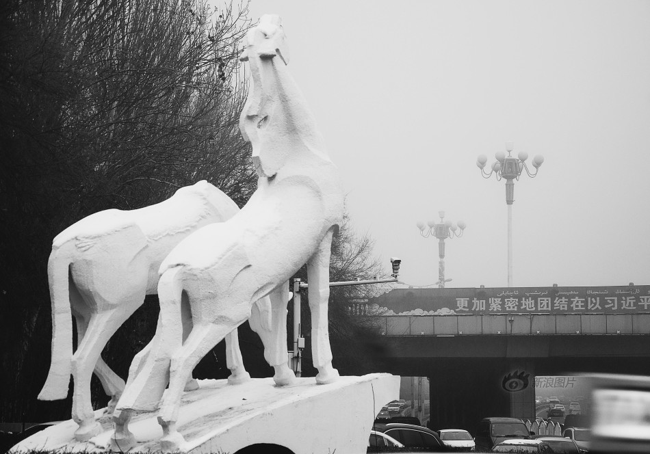 www一区