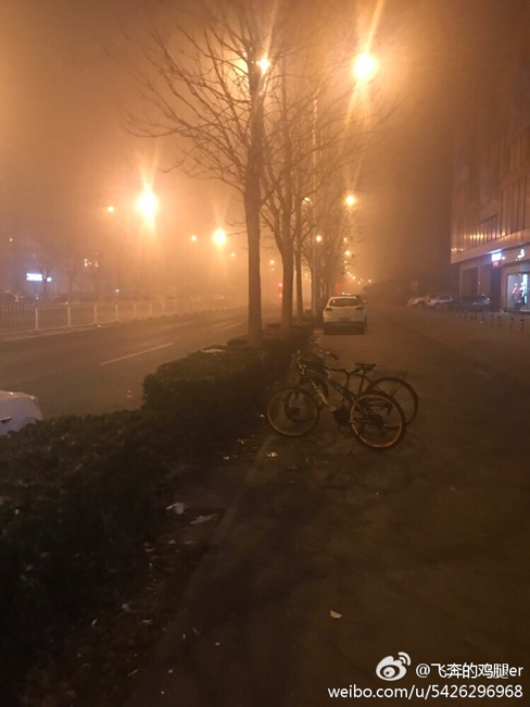 饭冈加奈子 的奶汁片