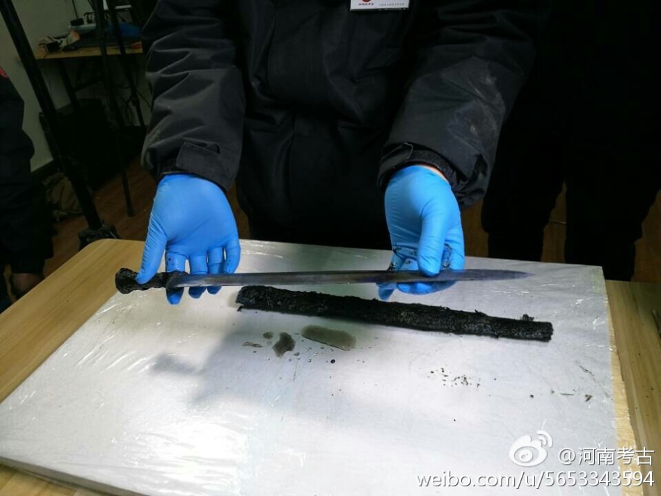 荷兰性培训机构性爱初次视频