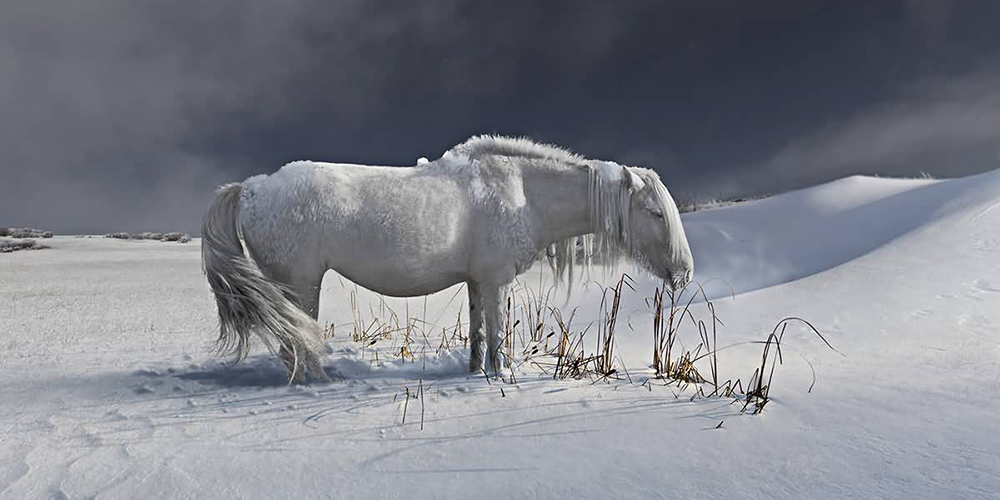 《影像视觉》户外旅行摄影大赛