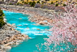 ؽ֥ӳһ