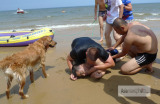 �й��ձ�һ��ͼƬ��ѡ