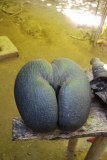 �߽����޵��������