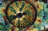 Ӱʦ㶯۾