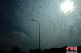 ִƬơ