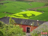 㽭ũֳ