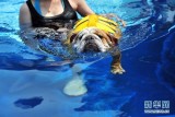 �¼��³���Ƶ꼴����ҵ