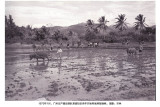 1973��ĺ��ϵ�һƳ