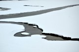 ͨӱѩ