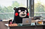 中国节目现山寨版日本熊本熊