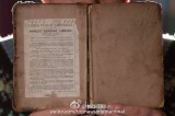 133黹Ӣ
