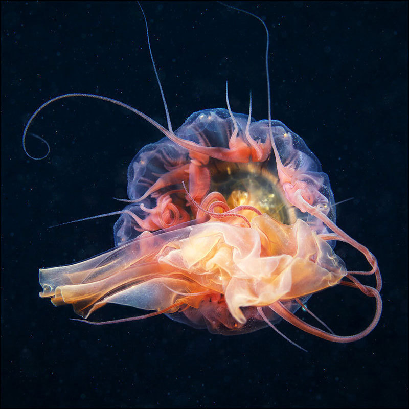 31670_983452_993696.jpg