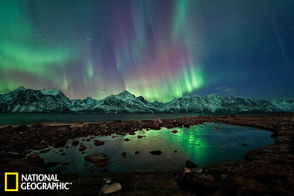 新闻云南猪生八个小孩图片大全_新闻云南猪生