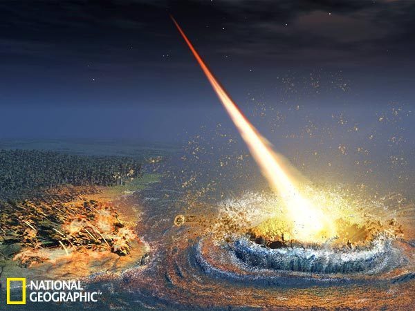 新闻云南猪生八个小孩图片大全_新闻云南猪生