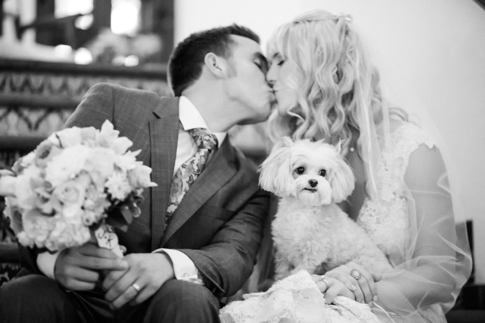 带狗婚纱照_婚纱照图片唯美(2)