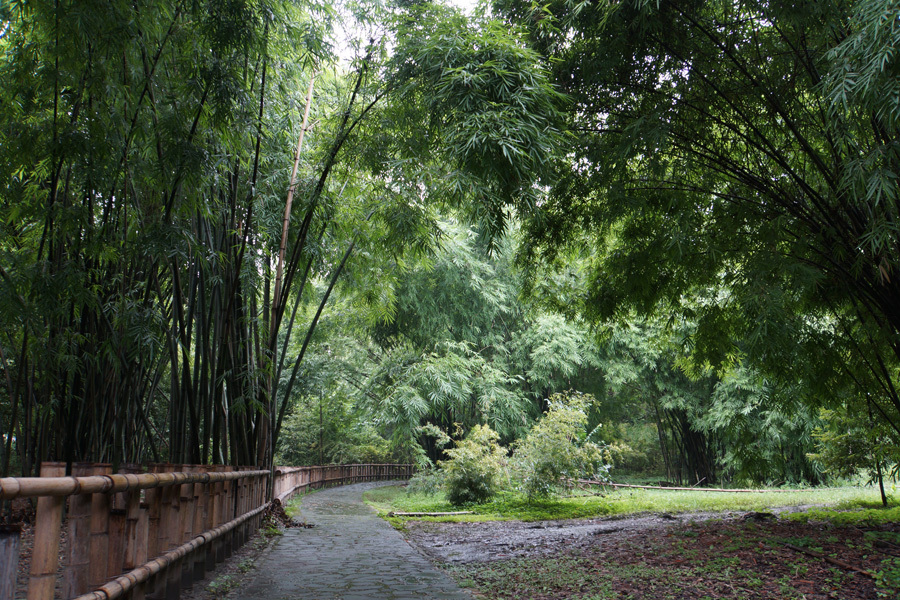 斑竹园街道_成都市新都区斑竹园镇_合肥到斑