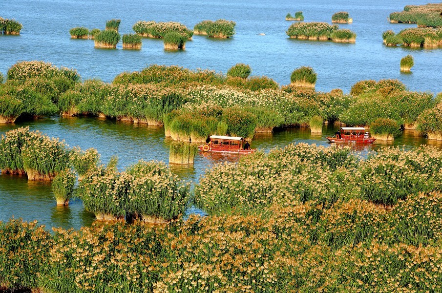 大沙湖人口_大梅沙湖心岛平面图