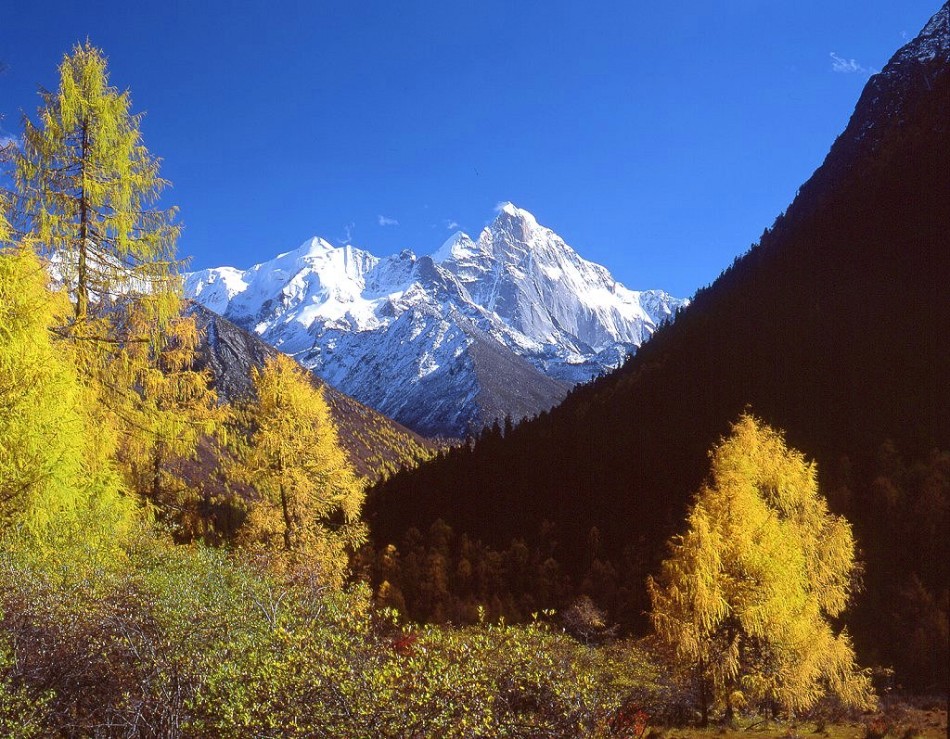 秋色撩人 寻踪秘境四姑娘山