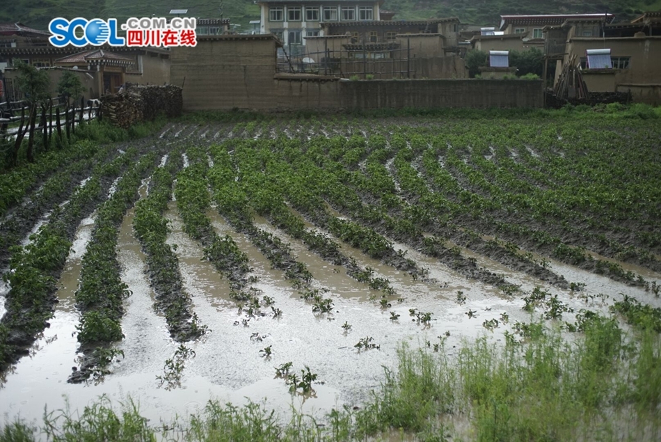 阿坝州多少人口_阿坝州地图