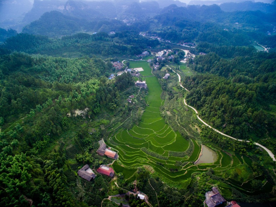 内江有多少人口_绿色为底 一座城就是一片景(2)
