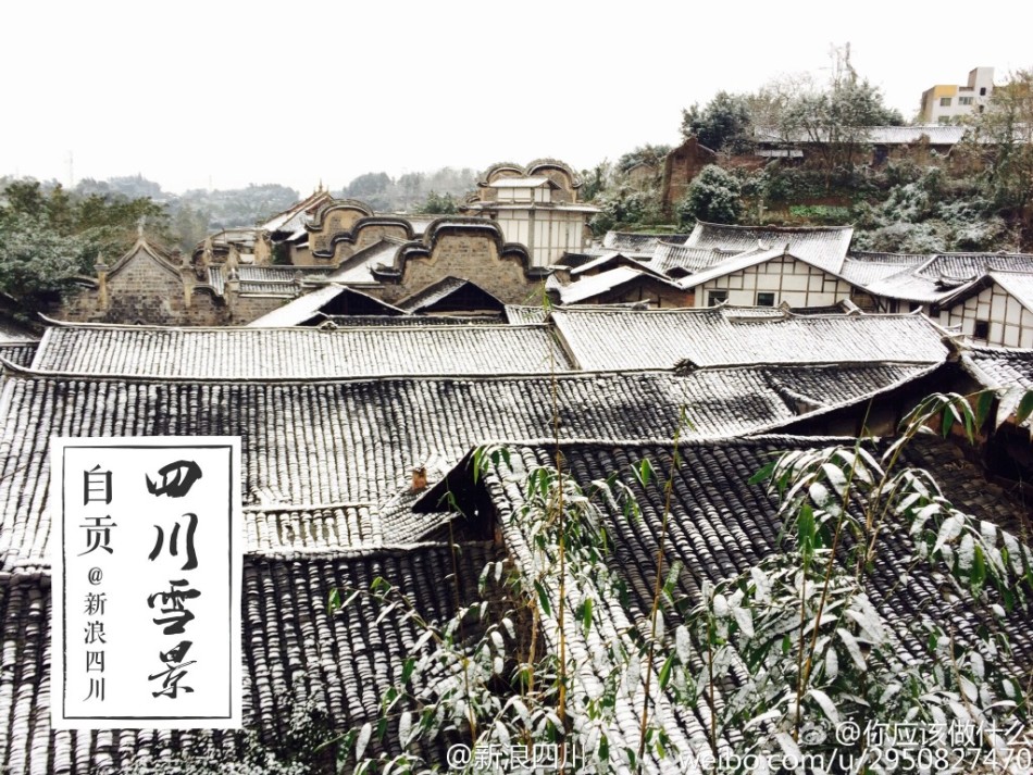 自贡市多少人口_自贡市王爷庙图片