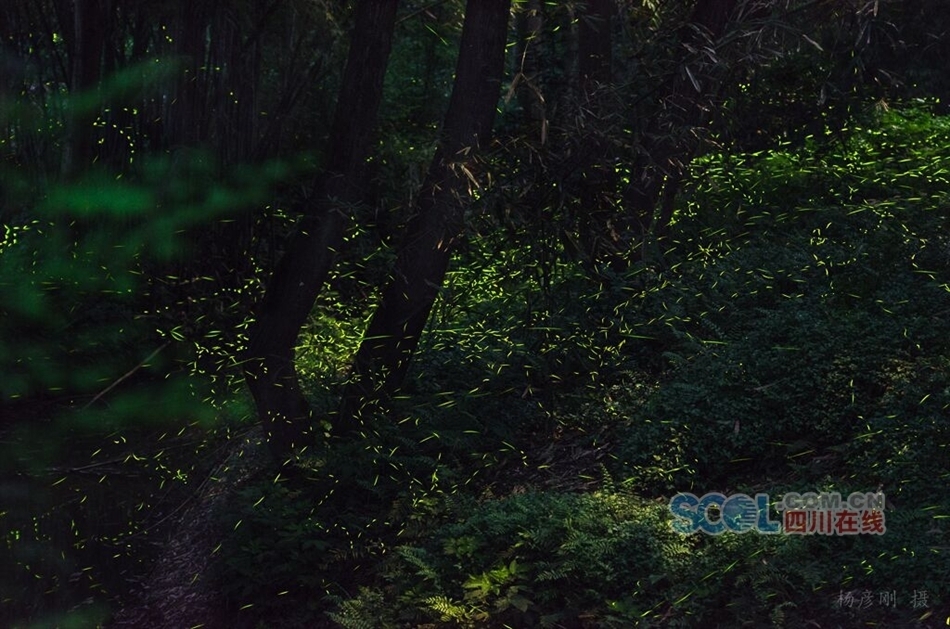 青神面积人口_青神红色西山照片