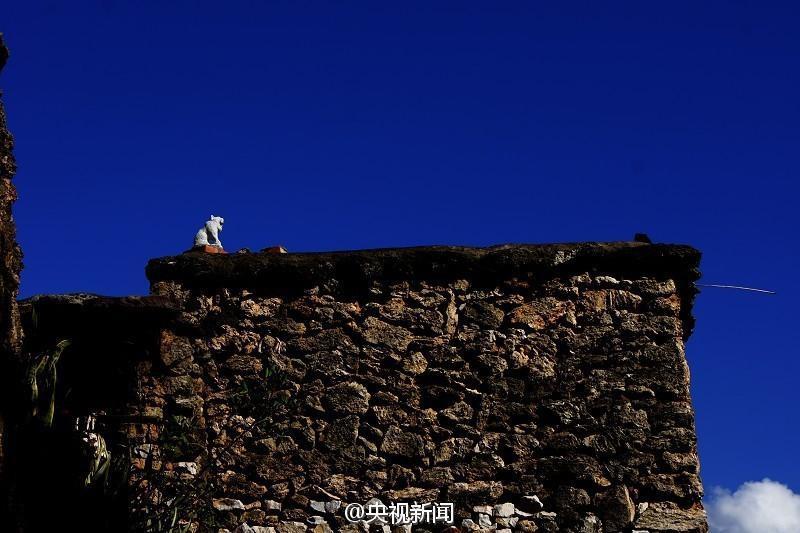 云南总共有多少人口_一家三口云南行