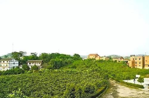 资中县城区人口_...资中县幅员面积1733.95k㎡,管辖33个镇,常住人口1308834人(截.(3)