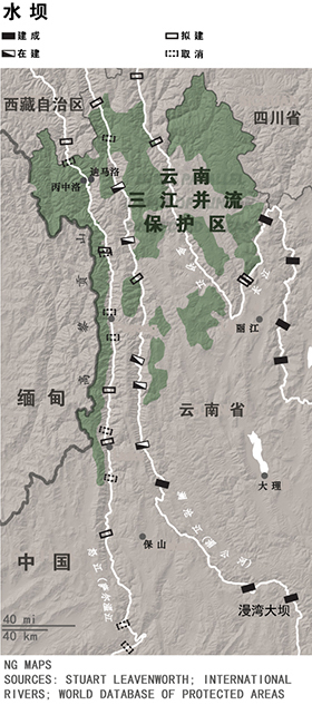 78016_5049571_315913.jpg
