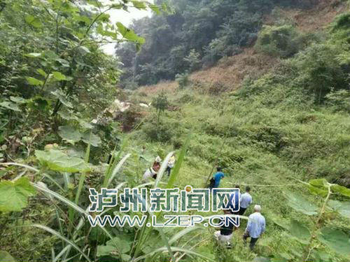 古蔺各镇人口多少_古蔺麻辣鸡图片