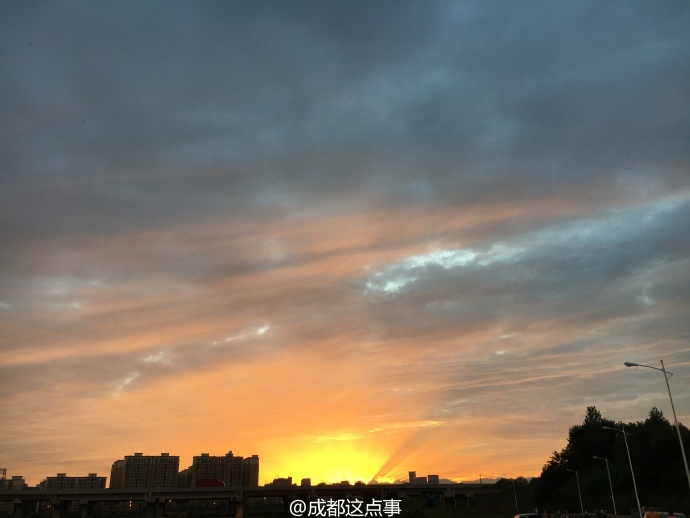 79753_5176464_135874.jpg